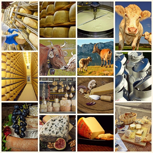 Schweizer Käse – die 5 besten Sorten