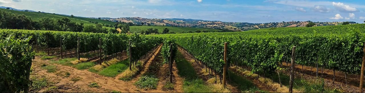 Die Toskana und Ihre Leidenschaft – der Wein!