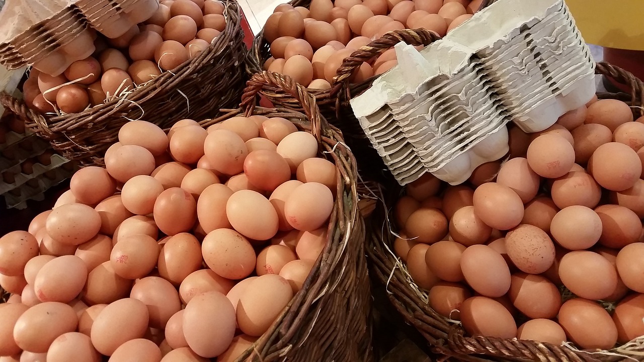Über Eier – Haltbarkeit, Hygiene, Kochtipps, Gesundheit